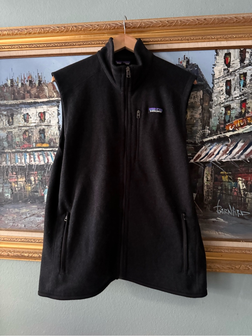 Patagonia Men’s Black Full-Zip Fleece Vest